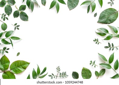 Plants Frame Hd Stock Images Shutterstock