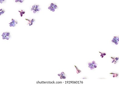 Frame of violet blue flowers lilac ( Syringa vulgaris ) on a white background with space for text. Spring flowers. Top view, flat lay