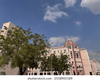Framed by Elegant Architecture and Parked Cars, Capturing the Harmony of Nature and City Life