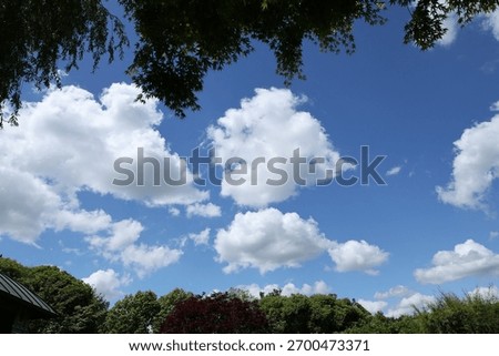 Framed cumulus clouds over summer park