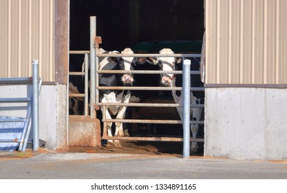 1,885 Barn behind fence Images, Stock Photos & Vectors | Shutterstock