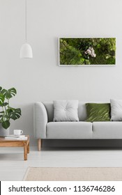 Framed, Green Moss Garden On A White Wall In A Trendy Living Room Interior With An Elegant, Gray Sofa And A Wooden Table. Real Photo.