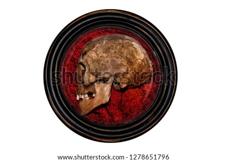 framed half skull