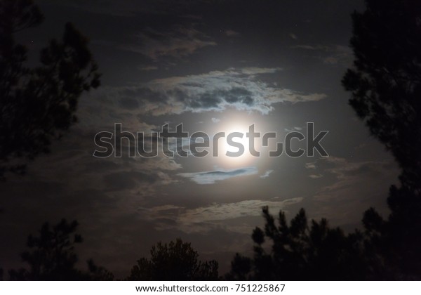 framed moon with\
trees