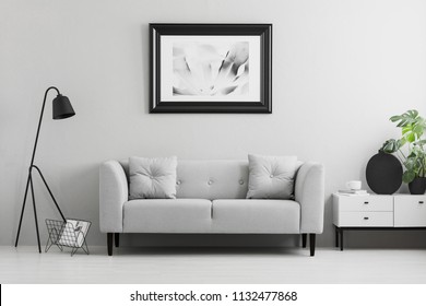 Framed Photo On A Wall Above A Fancy, Gray Sofa With Cushions In A Minimalist Living Room Interior And Place For A Table. Real Photo.