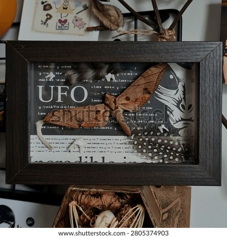 Framed Shadow Box with Large Moth, Bones, and Feathers Over a UFO Graphic Background