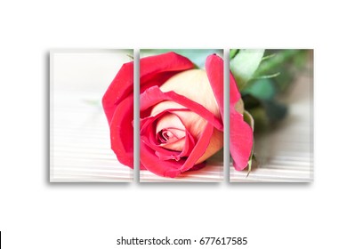 Frames set with beautiful red rose picture. 3 piece photographic print canvas mock up, floral decor 