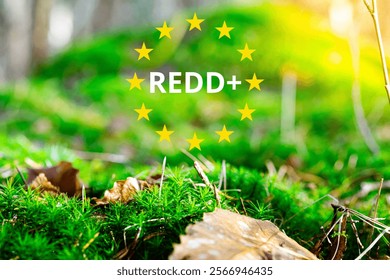 ‘REDD+’ framework to protect forests. ‘REDD’ : Reducing emissions from deforestation and forest degradation in developing countries. The ‘+’ stands for additional forest