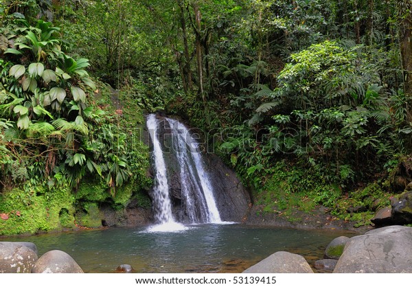 France Crayfish Cascade Guadeloupe Stock Photo Edit Now