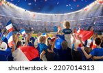 France football supporter on stadium. French fan group on soccer pitch watching winner team play. Crowd with national flag and jersey cheering for France win. Championship game