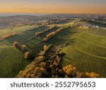 France, Gironde, Tabanac, Aerial view of the vineyard and wooded areas of Chateau le Pic in the Bordeaux vineyards at sunset