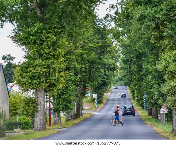 Campénéac, FRANCE - JULY 2, 2017: A woman\
walking her dog, crosses a road through trees and transited by\
cars, in the\
afternoon.