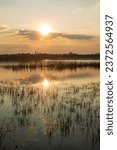 France, Loire estuary, 44, Maréchale island, flooding, 032022.