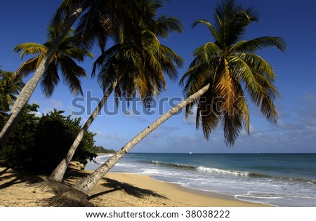 France Martinique Sainte Anne Plage Des Royalty Free Stock