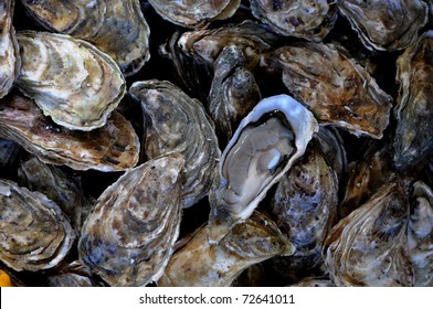 France, oysters at the market in Normandy