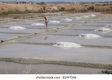 France, Salt Evaporation Pond In Guerande