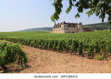 France-August 07, 2018: Château Clos De Vougeot With Its Famous Vineyards At Côte De Beaune. The Castle Is The Seat Of Brotherhood Of The Knights Of The Tastevin To Promote Burgundy Wines Worldwide.