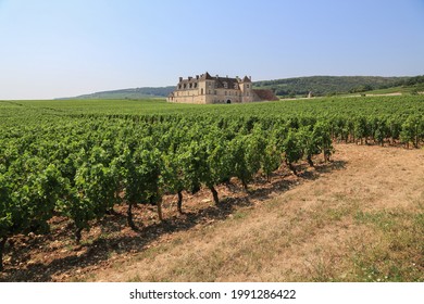 France-August 07, 2018: Château Clos De Vougeot With Its Famous Vineyards At Côte De Beaune. The Castle Is The Seat Of Brotherhood Of The Knights Of The Tastevin To Promote Burgundy Wines Worldwide.