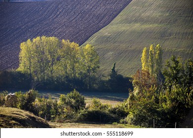 France,Gascony, The Country.