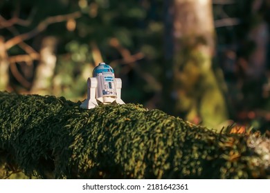 France,Jura - July 14, 2022
R2D2 Wandering On Dagobah While Luke Is Training With Jedi Master Yoda.
Lego Minifigures