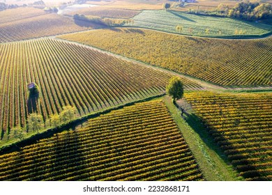 Franciacorta vineyards aerial view, Brescia province in Lombardy district, Italy. - Powered by Shutterstock