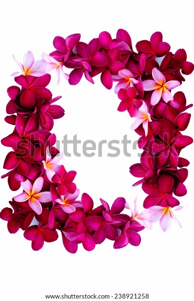 Frangipani Flower Border Isolated On White Stock Photo (Edit Now) 238921258