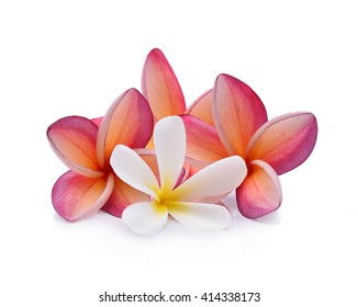 ハワイ 花 ケニケニ の写真素材 画像 写真 Shutterstock