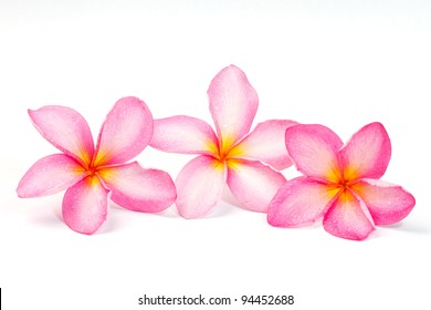 6,951 Tahitian Flower Images, Stock Photos & Vectors | Shutterstock