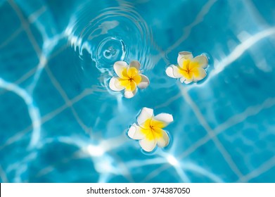 3 Flowers On Blue Water Images Stock Photos Vectors Shutterstock