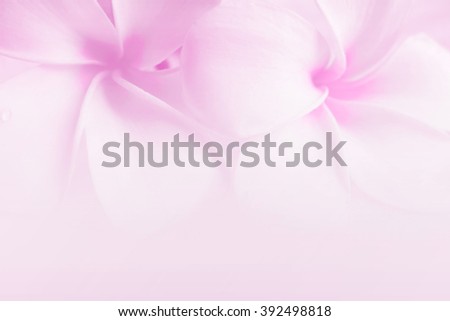 Similar – Pink Natur Frühling Blume