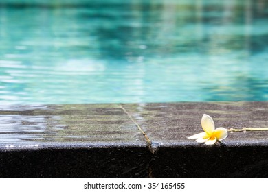 Frangipani Swimming Pool Stock Photo 354165455 | Shutterstock