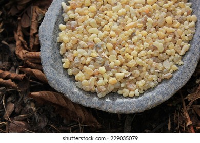 Frank Incense tears (olibanum gummi from Ethiopia) in tears in a stone bowl with a forest soil (bark mulch, leafs) background