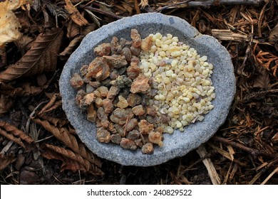 Frank Incense tears (olibanum gummi from Ethiopia) and Myrrh Gum Resin Incense (myrrhae gummi from Kenia) in tears in a stone bowl with a forest soil (bark mulch, leafs) background