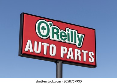 Oreilly Images Stock Photos Vectors Shutterstock