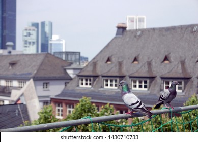 Bilder Stockfotos Und Vektorgrafiken Hochhaus Frankfurt