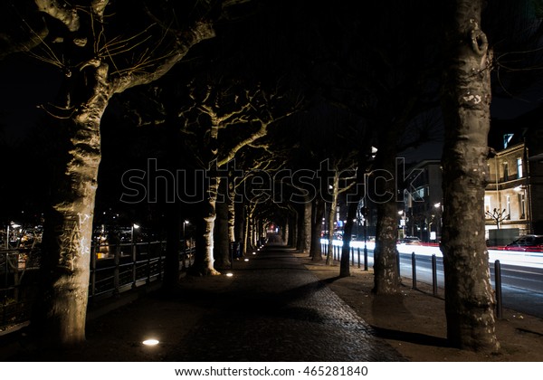 Frankfurt Night\
Sidewalk Lights Trees Long\
Exposure