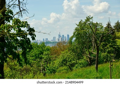 Frankfurt skyline skyscrapers between some green meadows and trees under cloudy summer sky