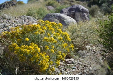 Franklin Mountains On The Edge Of Texas