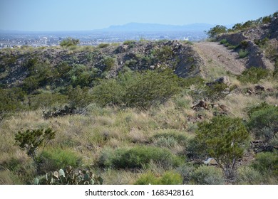 Franklin Mountains On The Edge Of Texas