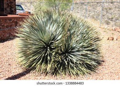 Franklin Mountains State Park