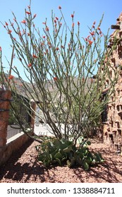 Franklin Mountains State Park