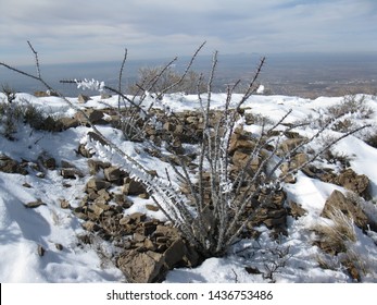 Franklin Mountains State Park, El Paso, TX