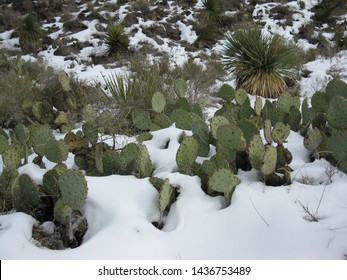 Franklin Mountains State Park, El Paso, TX