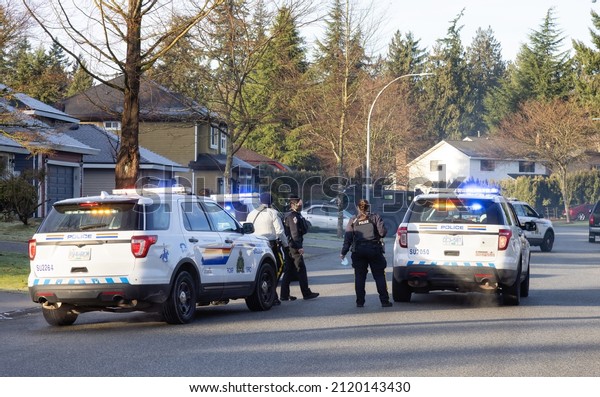Fraser\
Heights, Surrey, Vancouver, British Columbia, Canada - February 6,\
2022: Police and Swat Team are arresting a man for alleged Robery.\
Suburban Neighborhood during sunny Sunday\
morning.