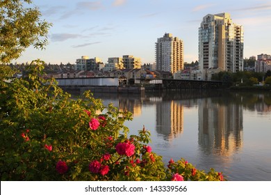 Fraser River, New Westminster Skyline, BC. Condominium Towers Along The Shore Of The Fraser River In The Morning Light. New Westminster, British Columbia, Canada. 