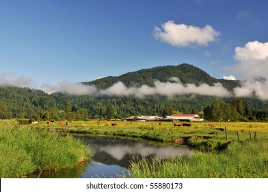 Fraser Valley At Foggy Sunrise, British Columbia, Canada