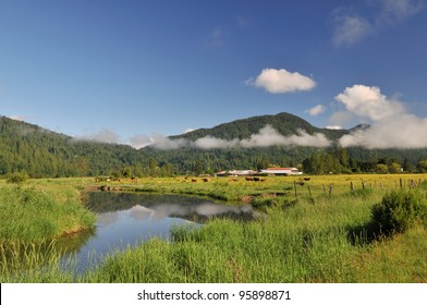 Fraser Valley At Foggy Sunrise, British Columbia, Canada