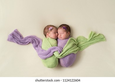 Twin Baby Girls Images Stock Photos Vectors Shutterstock