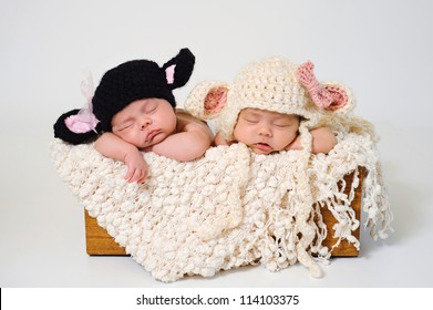 Fraternal Twin Newborn Baby Girls Wearing Black Sheep And Lamb Hats.