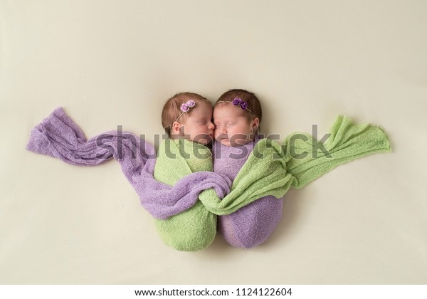Fraternal twin newborn\
baby girls swaddled together in light green and lavender stretch\
wrap material.